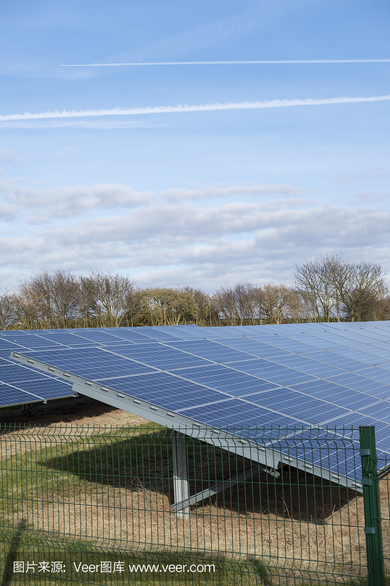 英国太阳能农场的太阳能电池板。
